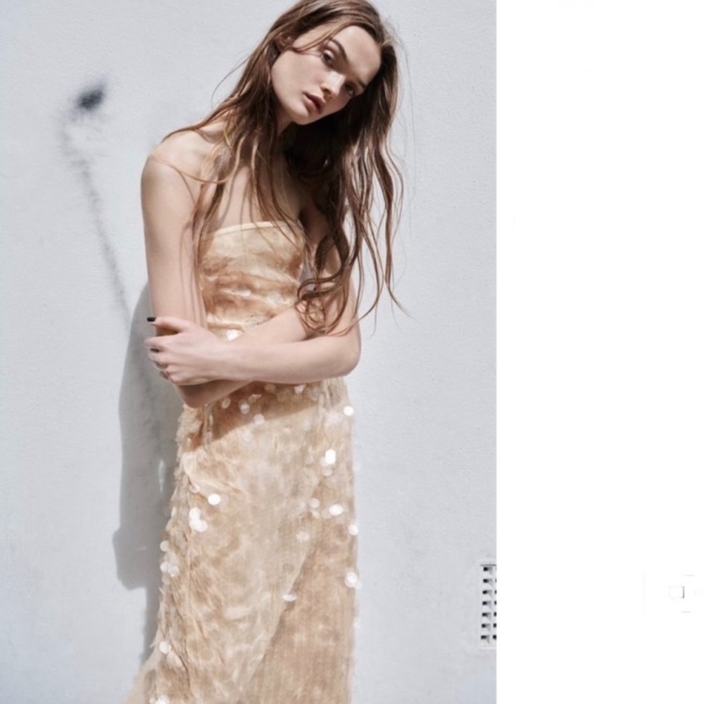 ZARA STRAPLESS SEQUIN DRESS-small